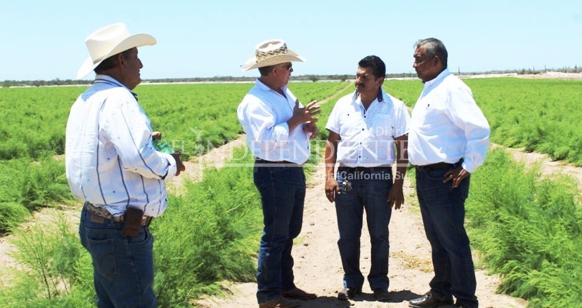 Convocan a productores Sudcalifornianos a participar en el censo agropecuario 2022