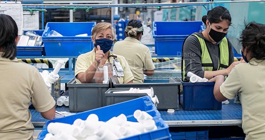 Registra BCS reducción en tasa de desempleo a nivel nacional