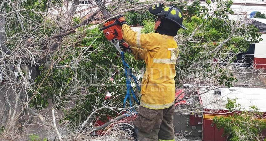 Atiende Cuerpo de Bomberos diferentes incidencias registradas durante las lluvias