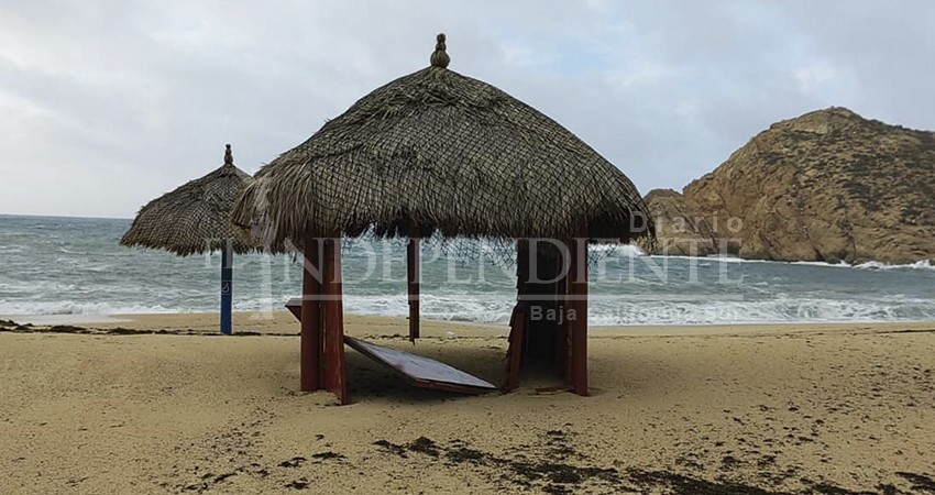 Inicia ZOFEMAT Los Cabos labores de limpieza en la playa El Médano Inicia ZOFEMAT Los Cabos labores de limpieza en la playa El Médano