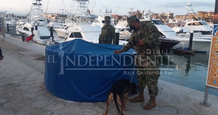 Continúa el Operativo Binomio Canino en contra del narcomenudeo en CSL