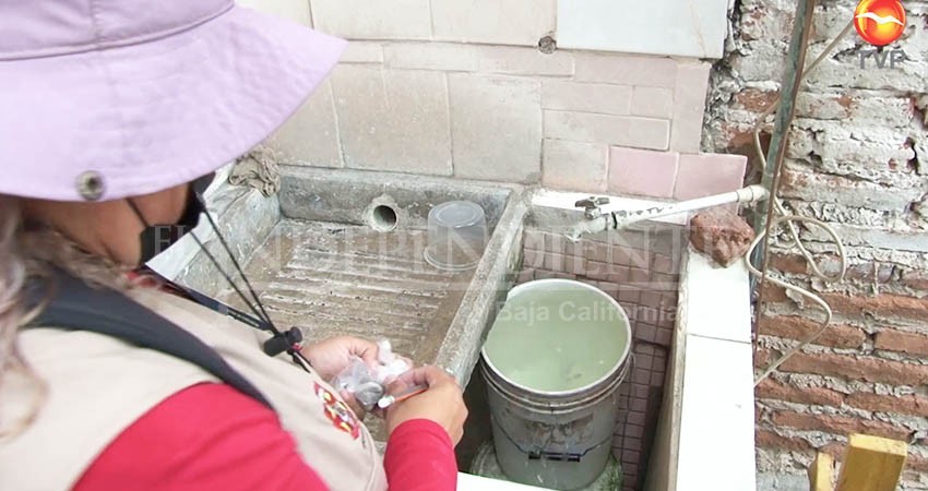 Pide la SSA extremar precauciones contra el dengue