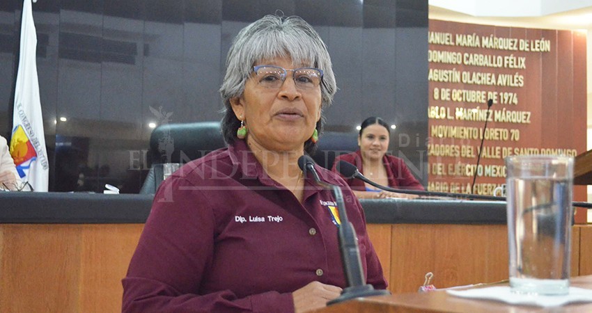 Mi trabajo ha privilegiado el contacto directo con la gente: Diputada Trejo Piñuelas