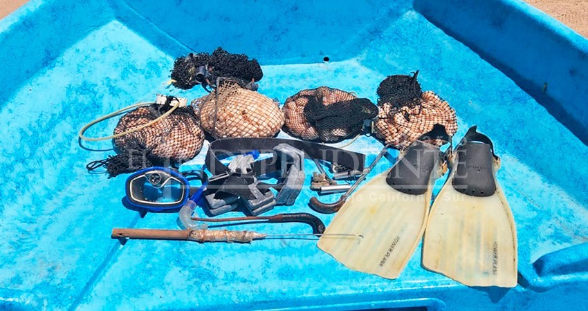 Decomisan una tonelada de almejas en Bahía Magdalena