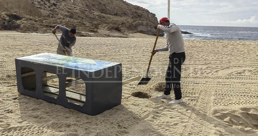 Rehabilita Zofemat playas de Los Cabos tras las lluvias provocadas por “Madeline”