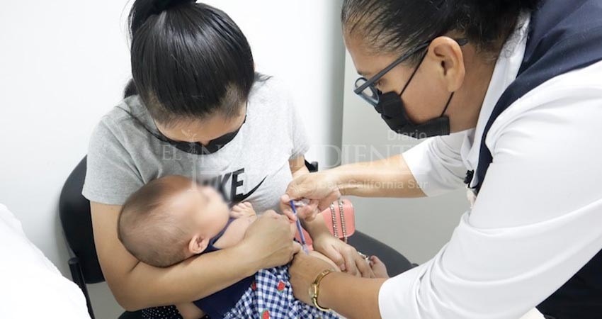 Ya se aplica en BCS la vacuna contra la influenza