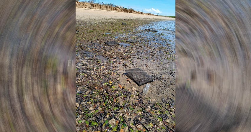 Daños por huracán “Kay” en sector acuícola de Comondú ascienden a más de 12 MDP