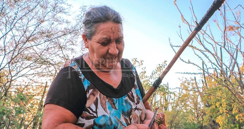 Este sábado se premiará a los ganadores del concurso “La Identidad de la Mujer Rural”