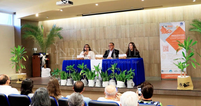 Congrega UABCS a especialistas en el estudio y conservación de moluscos