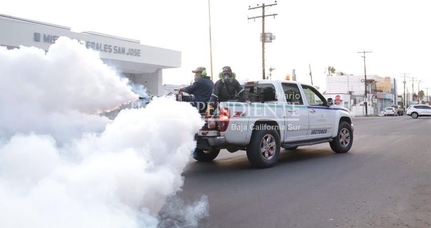 Advierte SSa sobre un nuevo serotipo de Dengue circulando en BCS