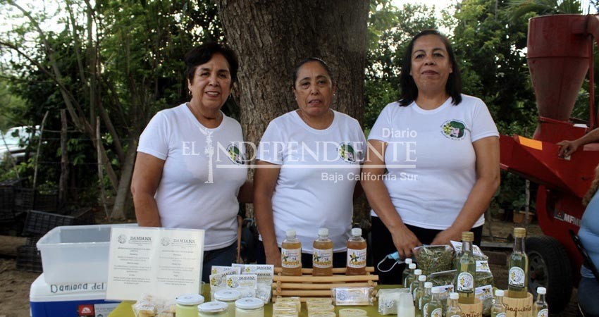 Impulsa gobierno estatal mayor participación de la mujer en el sector rural