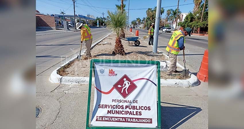 Continúa Servicios Públicos con la limpieza de parques y bulevares de La Paz