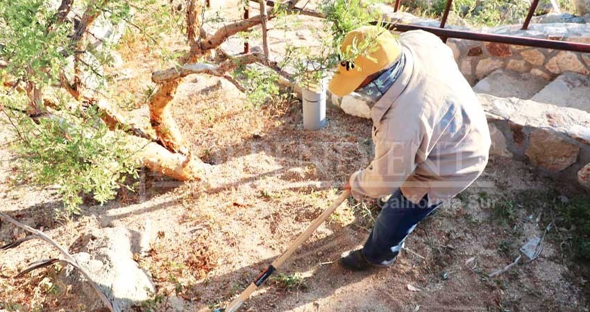 Inicia el Programa Integral de Sectorización en la zona Centro de CSL