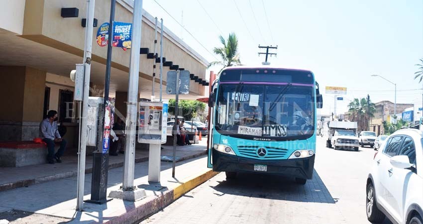Invita Alcaldesa La Paz a monitorear transporte público en “tiempo real”