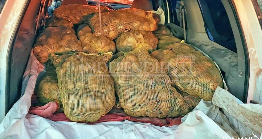 Devuelven al mar una tonelada de almeja chocolata en Comondú