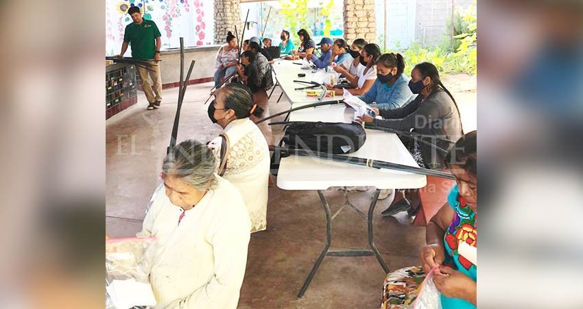 Entrega Ayuntamiento apoyos para impulsar el programa de Huertos de Traspatio en La Paz