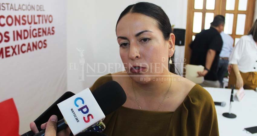 Es nuestra obligación denunciar, Poder Judicial determinará: Milena Quiroga