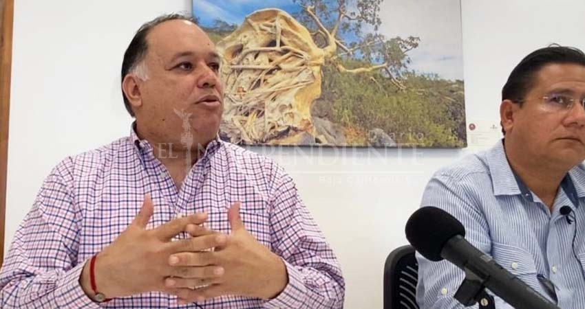 Reforma laboral dio a BCS resultados favorables: Secretaría de Trabajo Reforma laboral dio a BCS resultados favorables: Secretaría de Trabajo