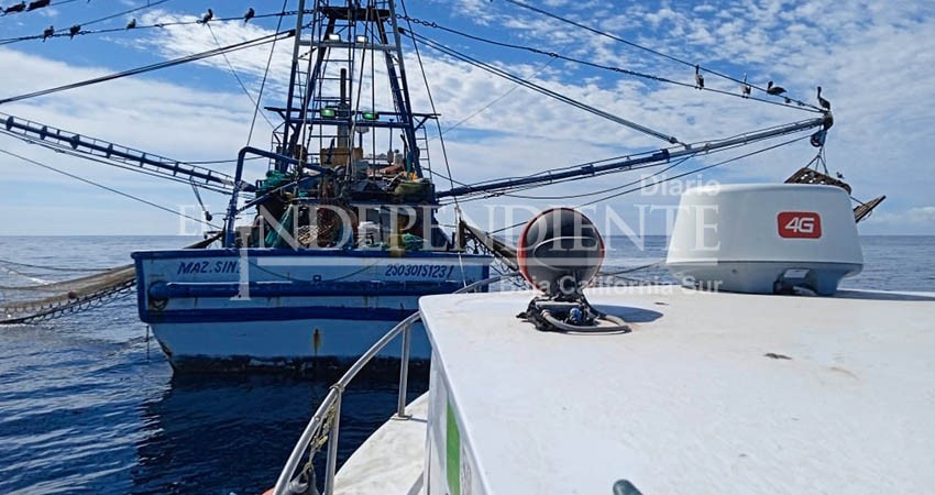 Verifica FONMAR excluidores de tortugas en barcos camaroneros Verifica FONMAR excluidores de tortugas en barcos camaroneros