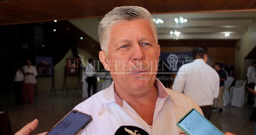 Sigue monitoreo de ganado en BCS para lograr exportación a EEUU