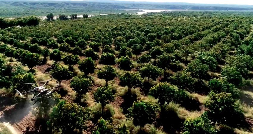 Vamos por un sector primario unido, fuerte y altamente productivo: Castro Cosío