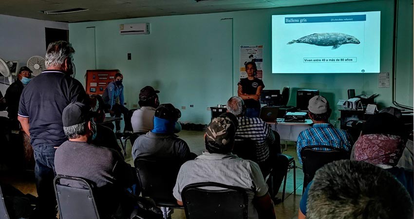 Contribuye UABCS al conocimiento de ballena gris mediante talleres comunitarios