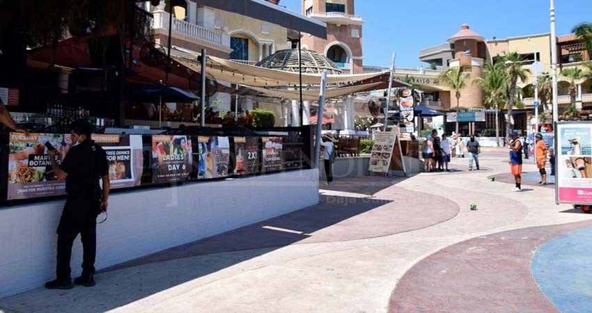 Encabeza BCS, la lista de entidades con mayor participación en actividades económicas