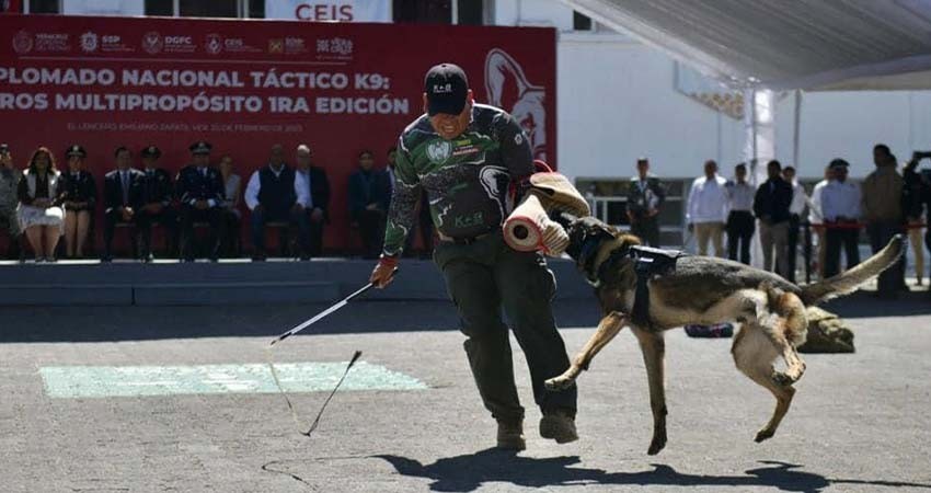 Recibe unidad k9 de SSPE capacitación táctica multipropósito en Veracruz
