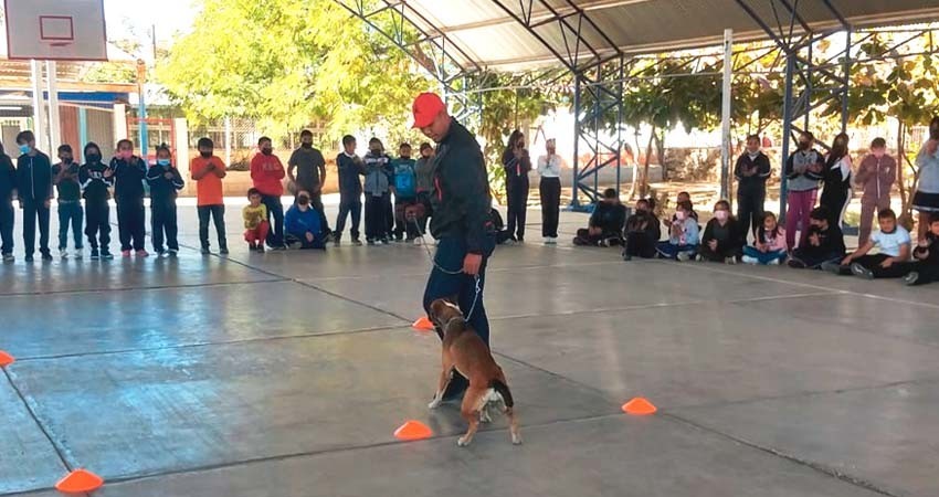 CEMAC y PREDEL unen esfuerzos para capacitar a niños sobre el cuidado animal CEMAC y PREDEL unen esfuerzos para capacitar a niños sobre el cuidado animal