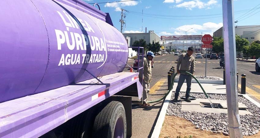 A través del programa Pipa Púrpura, se riegan áreas públicas de La Paz