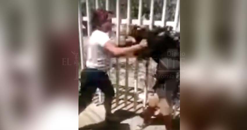 Captan en vídeo fuerte riña entre jóvenes estudiantes de una secundaria de La Paz Captan en vídeo fuerte riña entre jóvenes estudiantes de una secundaria de La Paz
