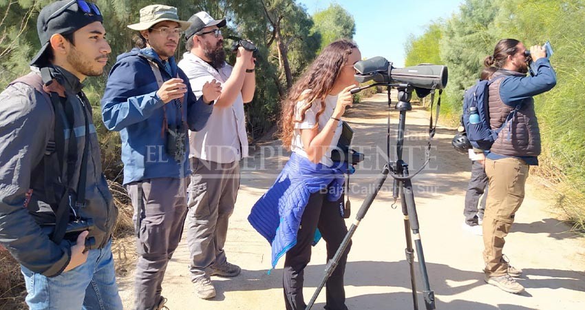 Promueve UABCS la observación de aves mediante talleres y cursos