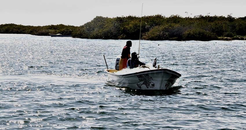 Apertura SEPADA ventanillas de programas para el sector pesquero y acuícola