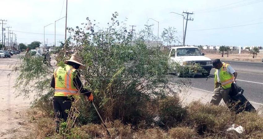 Personal de barrido manual realizó barrido de 8 kilómetros de carreteras en La Paz