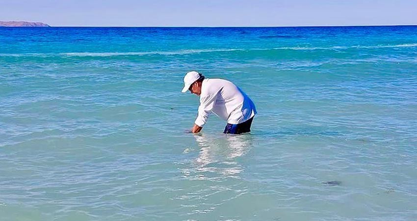 Playa el Tecolote el optimas condiciones para su uso recreativo: COEPRIS