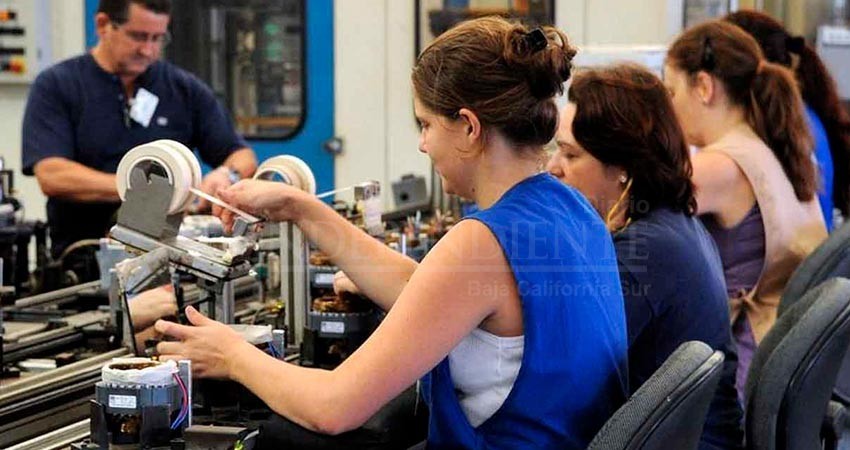 Promueve el Servicio Nacional de Empleo en BCS, bolsa de trabajo en Canadá