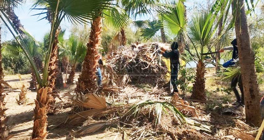 Transitan o duermen indigentes en el estero de SJC Transitan o duermen indigentes en el estero de SJC