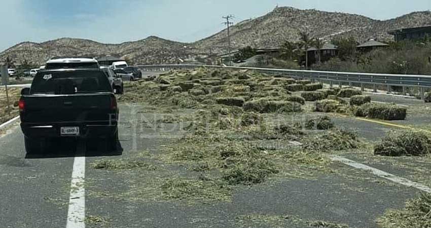 Camión de carga tiró forraje en vialidad de SJC Camión de carga tiró forraje en vialidad de SJC
