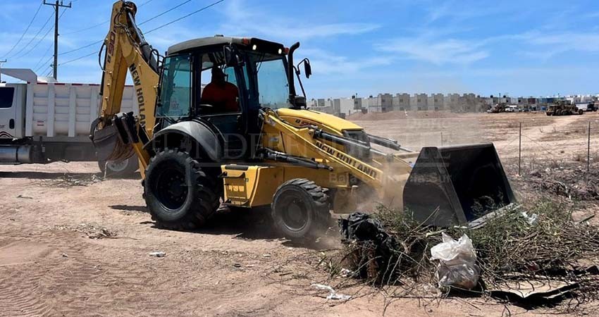 Recolectadas más de 68 toneladas de basura en la “Jornada de Limpieza por La Paz”