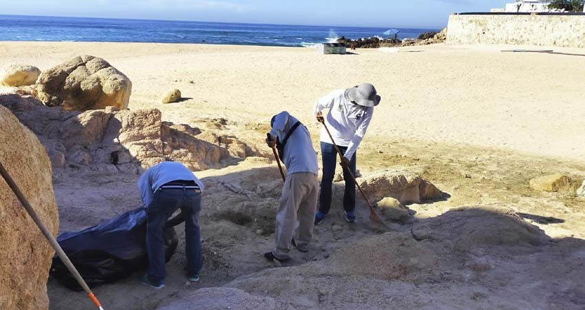 Refuerza Zofemat Los Cabos los trabajos de limpieza en zonas adyacentes a las playas Refuerza Zofemat Los Cabos los trabajos de limpieza en zonas adyacentes a las playas