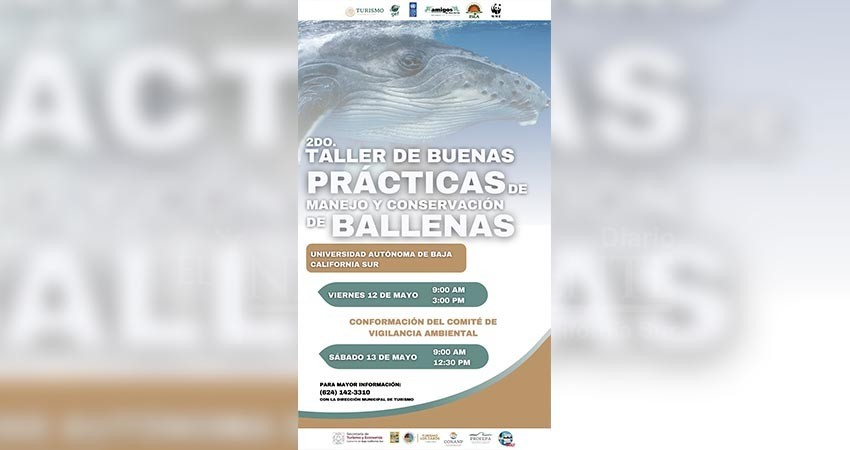 Turismo Los Cabos invita al “2do Taller de Buenas Prácticas de Manejo y Conservación de Ballenas” Turismo Los Cabos invita al “2do Taller de Buenas Prácticas de Manejo y Conservación de Ballenas”