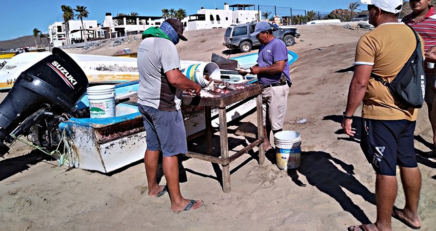 Respalda gobierno a pescadores mediante programa “Seguro de Vida”