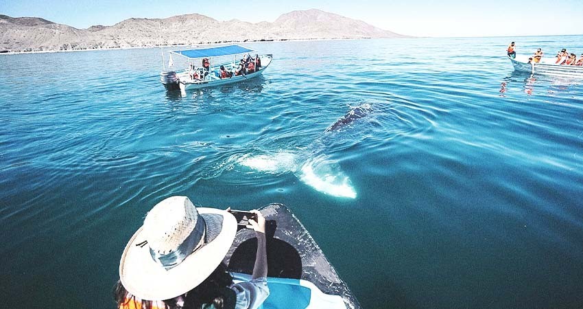 Invita Turismo Municipal a sumar esfuerzos para posicionar a La Paz como destino de aventura Invita Turismo Municipal a sumar esfuerzos para posicionar a La Paz como destino de aventura