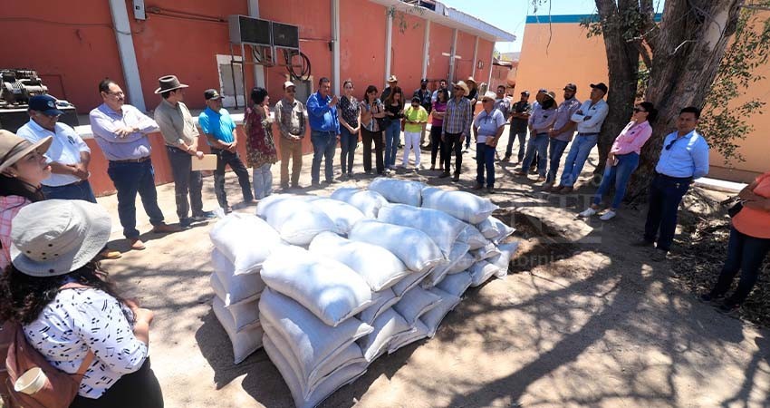 Genera UABCS más de dos toneladas de lombricomposta Genera UABCS más de dos toneladas de lombricomposta