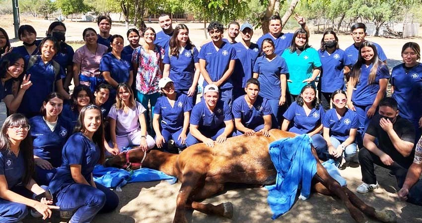 Apoya Ayuntamiento de La Paz en la profesionalización de futuros médicos veterinarios