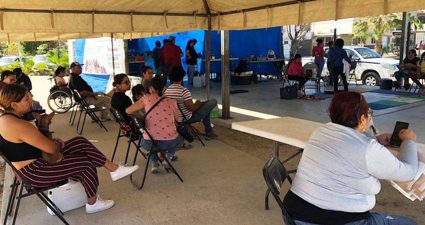 El Gobierno de Los Cabos y la Jurisdicción Sanitaria han realizado un total de 196 esterilizaciones caninas y felinas