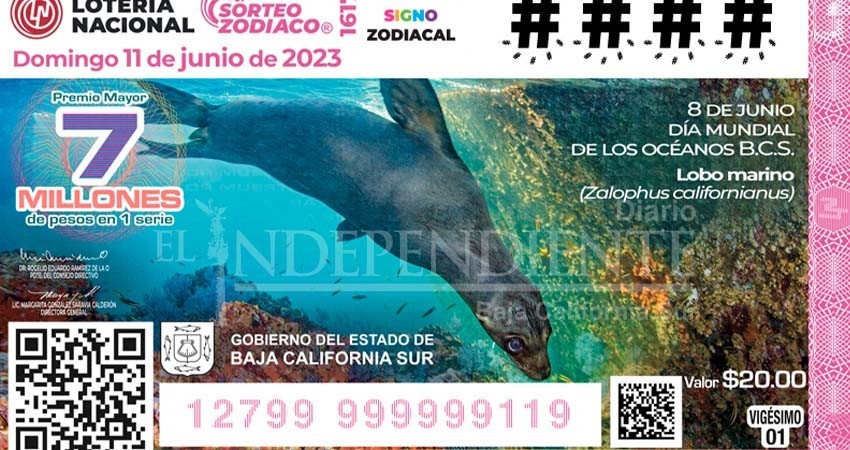 De nuevo BCS en los billetes de la Lotería Nacional por el día Mundial de los Océanos