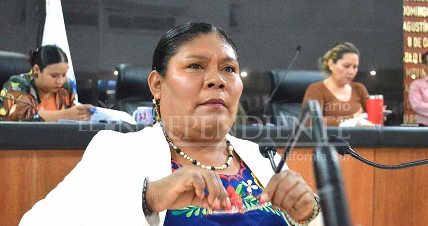 Se pronuncia la diputada López Velasco en favor de los derechos de personas indígenas trabajadoras del campo