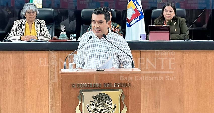 Exige diputado del PAN una amplia discusión sobre Ley de Infancias Trans Exige diputado del PAN una amplia discusión sobre Ley de Infancias Trans