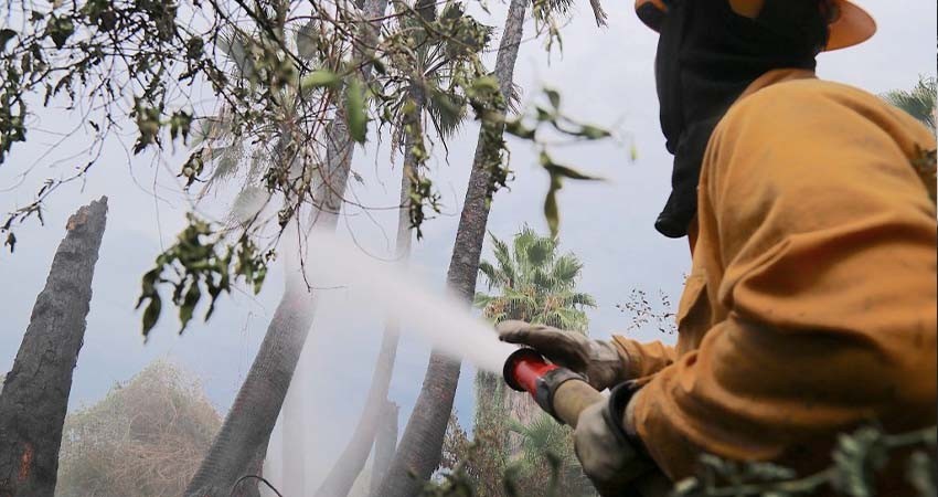 Fortalecen en Santiago medidas preventivas contra incendios forestales y acciones para mitigar impactos a los ecosistemas